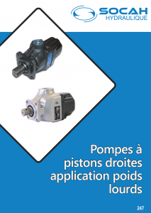 Pompes à pistons droite application poids-lourds