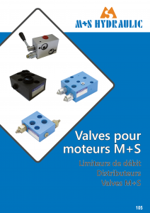 Valves pour moteurs M+S