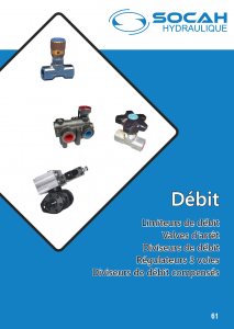 Débit